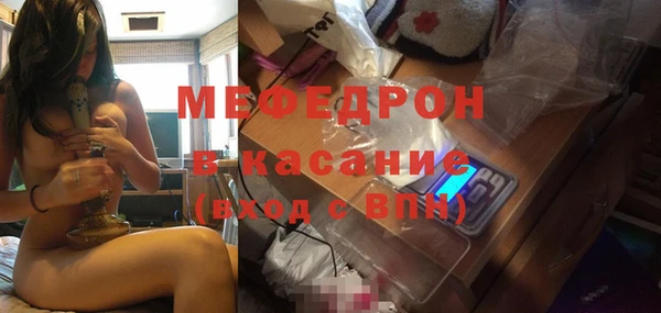 шишки Арсеньев