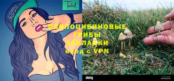 шишки Арсеньев