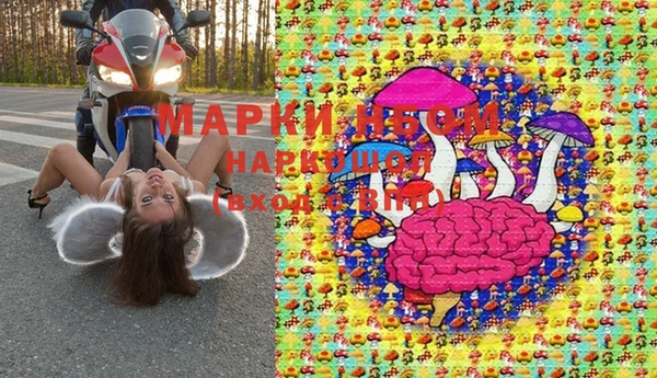 шишки Арсеньев
