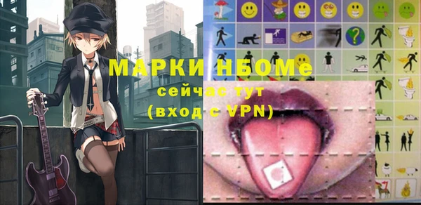 шишки Арсеньев