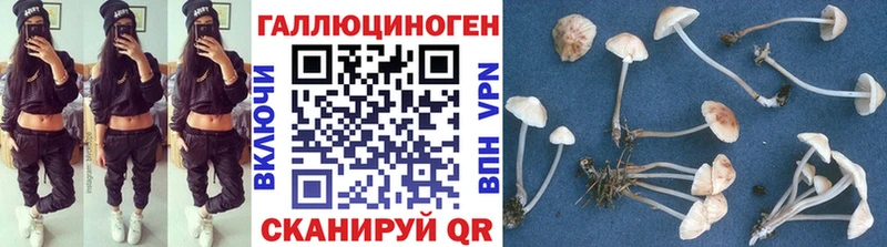 купить наркотики сайты OMG tor Псилоцибиновые грибы Psilocybe Строитель
